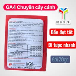 Phân Bón Lá GA4 Japan - Siêu Kích Thích Sinh Trưởng, Đâm Chồi, Bật Đọt, Lớn Trái, Đẹp Màu 2