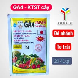 Phân Bón Lá GA4 Japan - Siêu Kích Thích Sinh Trưởng, Đâm Chồi, Bật Đọt, Lớn Trái, Đẹp Màu 5