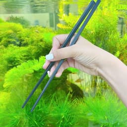 Bộ 10 Đôi  Đũa Nhựa Kháng Khuẩn Shikisai Cao Cấp-Đũa Nhựa Shikisai Dùng Cho Nhà Hàng 5
