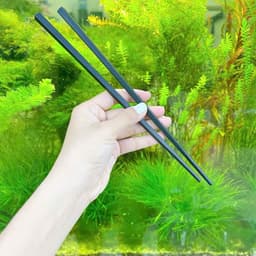 Bộ 10 Đôi  Đũa Nhựa Kháng Khuẩn Shikisai Cao Cấp-Đũa Nhựa Shikisai Dùng Cho Nhà Hàng 3