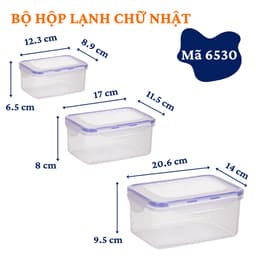 Bộ Hộp Đựng Thực Phẩm Khoá Gài Việt Nhật 6530/32, Bảo Quản Đồ Ăn Tủ Lạnh - DOMUS 4