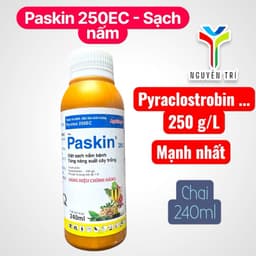 Paskin 250 (Pyrrolax 250EC) chai 240ml - Chuyên dùng cho cà phê, hồ tiêu, đậu phộng 1