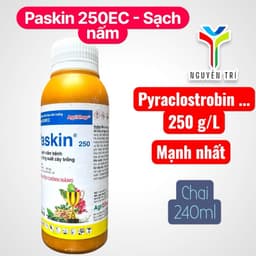 Paskin 250 (Pyrrolax 250EC) chai 240ml - Chuyên dùng cho cà phê, hồ tiêu, đậu phộng 2