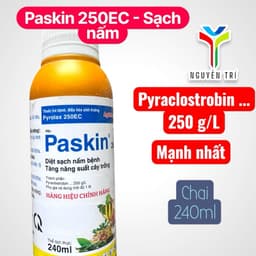 Paskin 250 (Pyrrolax 250EC) chai 240ml - Chuyên dùng cho cà phê, hồ tiêu, đậu phộng 3