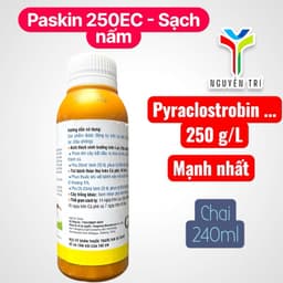 Paskin 250 (Pyrrolax 250EC) chai 240ml - Chuyên dùng cho cà phê, hồ tiêu, đậu phộng 5