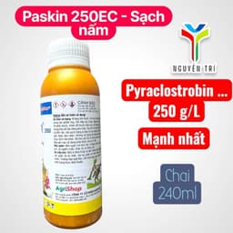Paskin 250 (Pyrrolax 250EC) chai 240ml - Chuyên dùng cho cà phê, hồ tiêu, đậu phộng 4