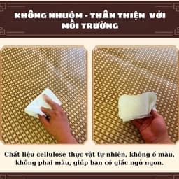 Chiếu Mây Điều Hòa Lót Lụa Cao Cấp Đa Dạng Kích Thước HGHOME - Chiếu Điều Hòa Sợi Mây Thoáng Mát Dễ Dàng Vệ Sinh 4