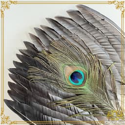 Quạt Lông Khổng Minh Gia Cát Lượng Khổng Tước Phong Cách Trung Hoa - Hình Bát Quái Phong Thủy Phụ Kiện Decor Cosplay 8