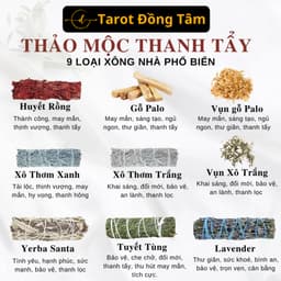 Tổng Hợp Xô Thơm & Thảo Mộc Xông Nhà Thanh Tẩy Không Gian Sống Palo Santo Tarot Đồng Tâm 2