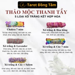 Tổng Hợp Xô Thơm & Thảo Mộc Xông Nhà Thanh Tẩy Không Gian Sống Palo Santo Tarot Đồng Tâm 3