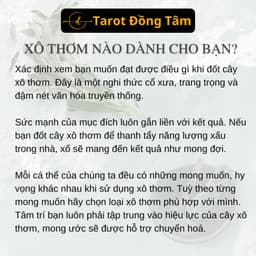 Tổng Hợp Xô Thơm & Thảo Mộc Xông Nhà Thanh Tẩy Không Gian Sống Palo Santo Tarot Đồng Tâm 5