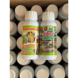 BUNG LƯỠI MÈO ĐỒNG LOẠT, THÚC RA LƯỠI MÈO SỚM, DƯỠNG CÂY NON, TĂNG ĐẬU TRÁI CHỐNG RỤNG HOA VÀ TRÁI NON CHAI 500ML 5