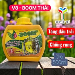 Phân Bón Lá Sinh Học 8-BOOM N Thái Lan 500ml - Dưỡng Chất Giúp Kích Mầm Hoa, Dưỡng Trái Non, To Củ Quả 3