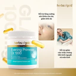 Viên Uống Tinh Dầu Hoa Anh Thảo Herbs of Gold Evening Primrose Oil 1000mg Hộp 200 Viên 2