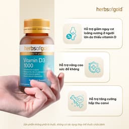 [Hàng cty full va.t] Viên Uống Vitamin D3 Herbs of Gold 1000 IU – Hấp Thu Canxi & Xương Khỏe Mạnh – Hộp 120 Viên 2