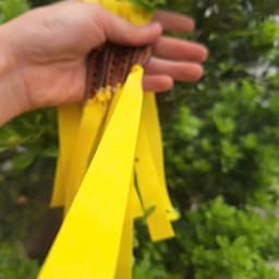 Dây full precise dài 25cm size 0.55mm kéo hết tay siêu dai 8