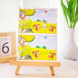 Thẻ Flash EVON BABY dạy bé tập nói - TÌM ĐIỂM KHÁC BIỆT 8