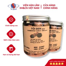 [CHÍNH HÃNG- HỘP 250G ]Tỏi Đen Loại 1 Viện Hàn Lâm KH&CN Việt Nam, Tăng Sức Đề Kháng, Dẻo Ngọt Không Đắng 250g 6