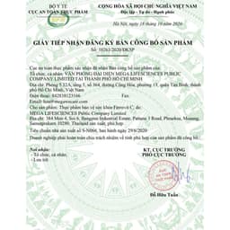 ✅[Chính Hãng] Ferrovit C bổ sung sắt và vitamin, hỗ trợ giảm thiếu máu (Hộp 30 viên) 4
