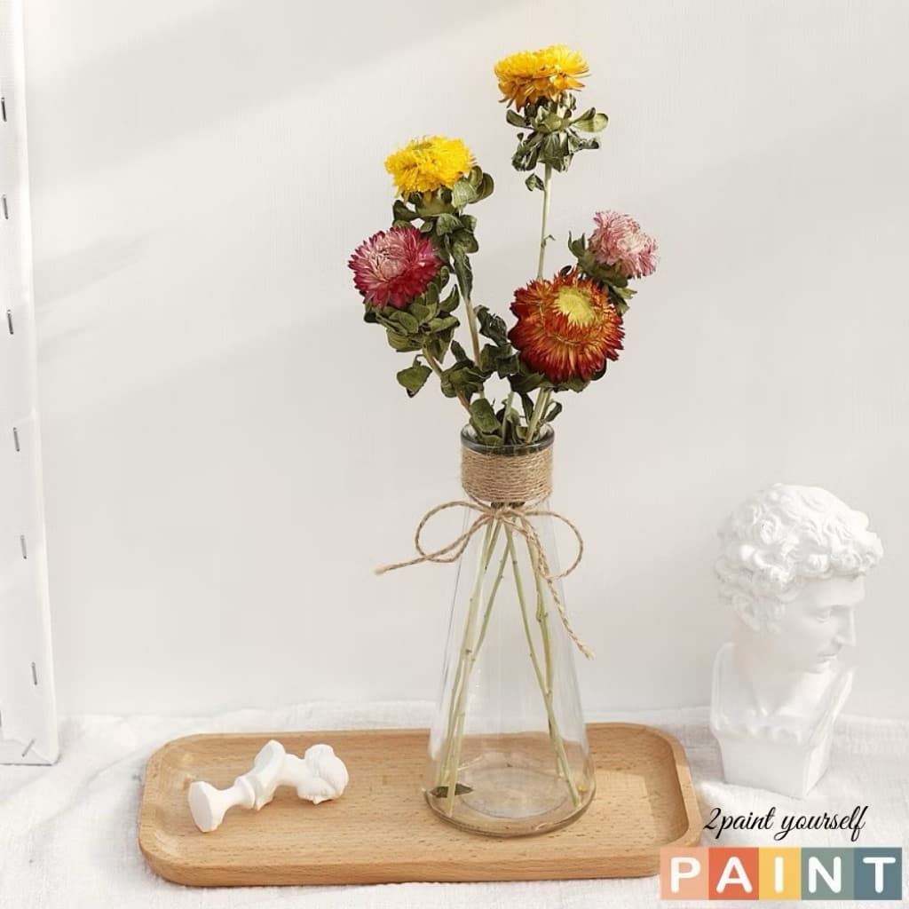 Bình hoa thủy tinh, Lọ hoa decor  trang trí dùng để cắm hoa, trồng cây thủy canh