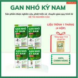 Gan Nhó Kỳ Nam Chính Hãng [LIỆU TRÌNH 1 THÁNG 4 HỘP] + tặng 1 trà cà gai leo 1