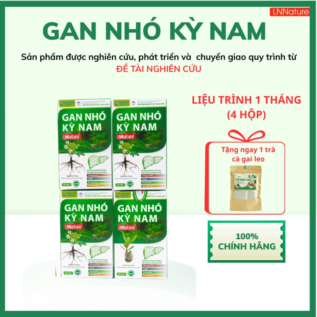 Gan Nhó Kỳ Nam Chính Hãng [LIỆU TRÌNH 1 THÁNG 4 HỘP] + tặng 1 trà cà gai leo