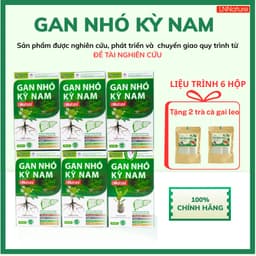 Gan Nhó Kỳ Nam Chính Hãng [LIỆU TRÌNH 6 HỘP] tặng 2 trà cà gai leo 1