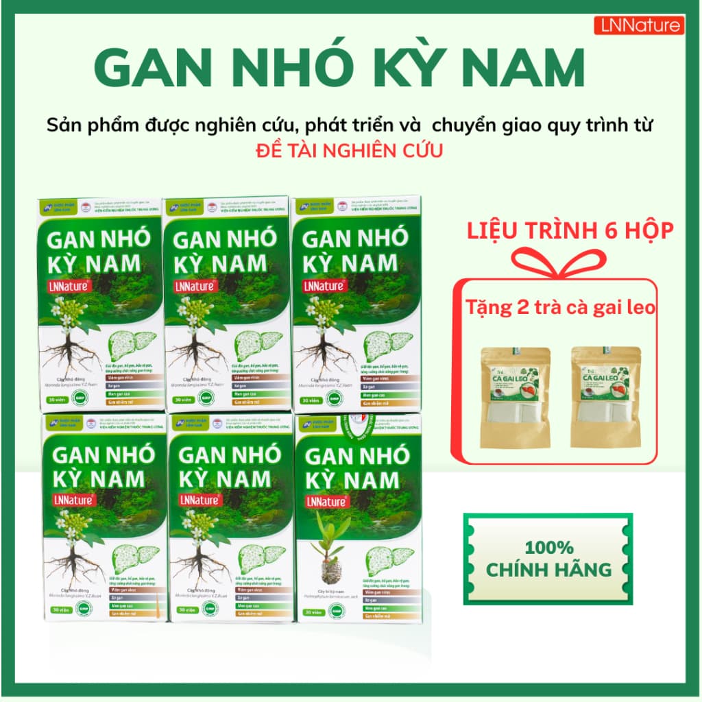 Gan Nhó Kỳ Nam Chính Hãng [LIỆU TRÌNH 6 HỘP] tặng 2 trà cà gai leo