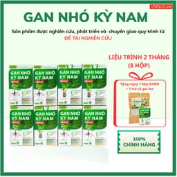 Gan Nhó Kỳ Nam Chính Hãng [LIỆU TRÌNH 2 THÁNG - 8 HỘP] 1