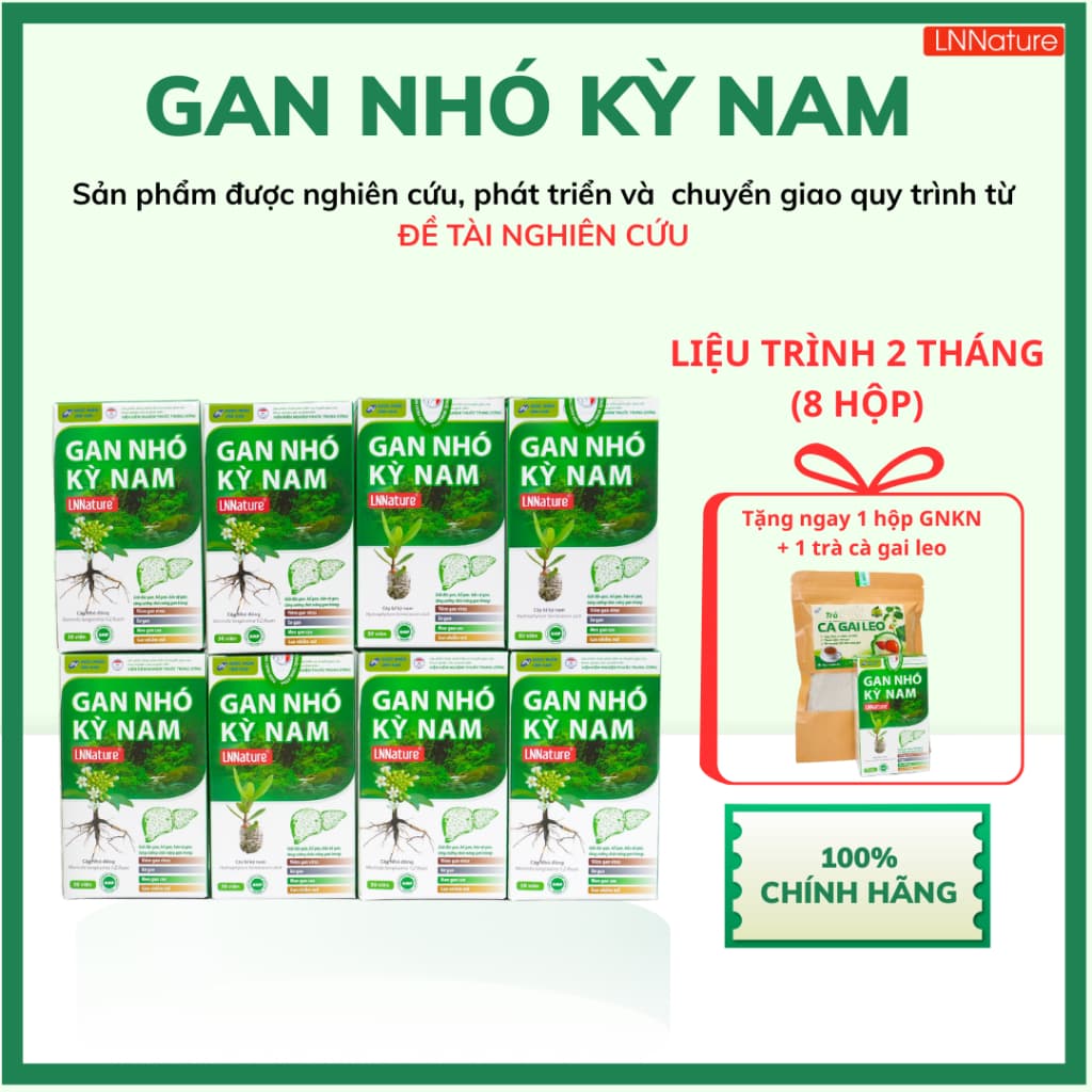 Gan Nhó Kỳ Nam Chính Hãng [LIỆU TRÌNH 2 THÁNG - 8 HỘP]