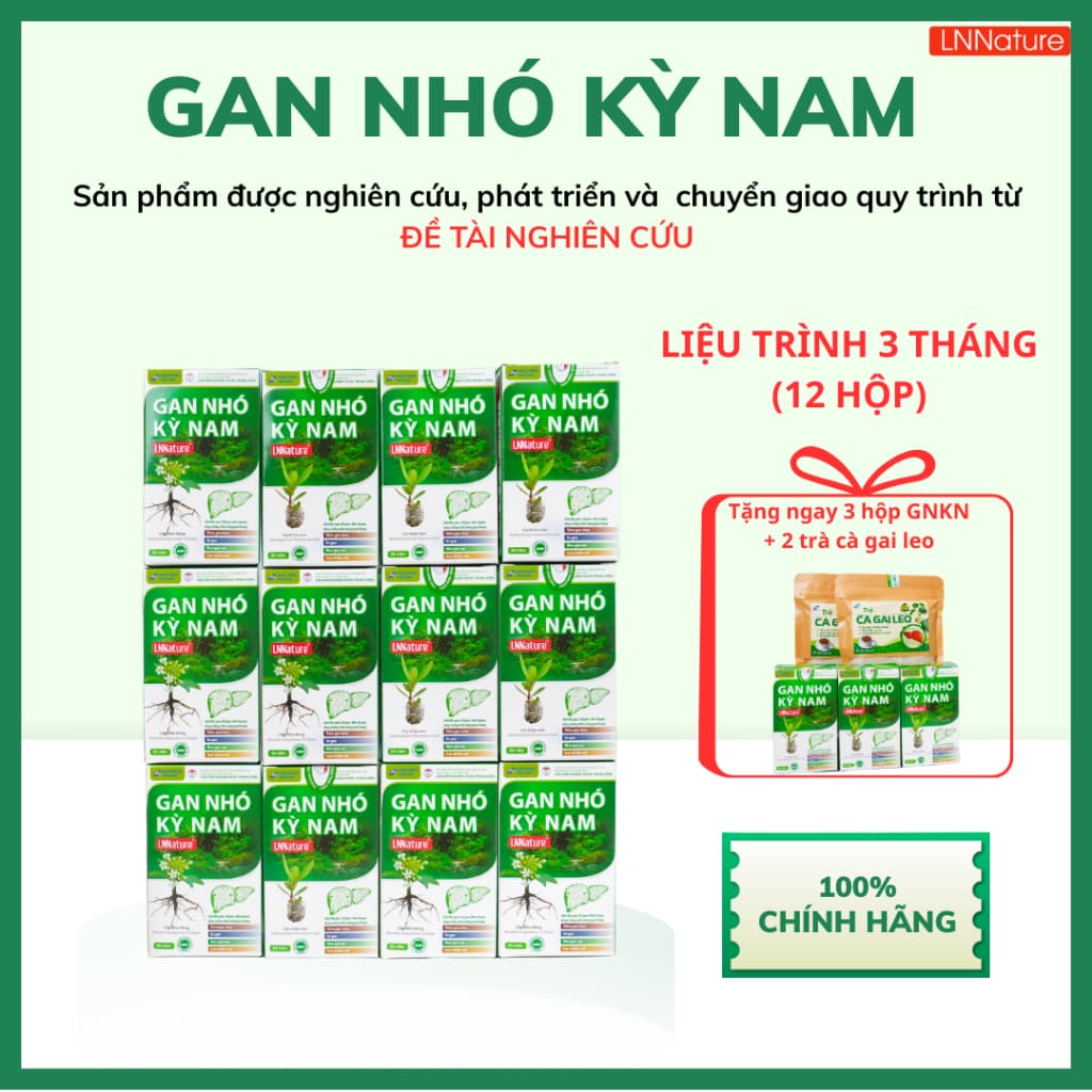 Gan Nhó Kỳ Nam Chính Hãng [LIỆU TRÌNH 3 THÁNG 12 HỘP]
