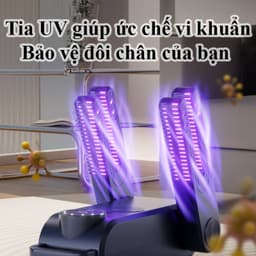Máy Sấy Giày Khử Mùi Cao Cấp Hiệu Quả Bằng Tia Cực Tím Cao Cấp Máy Hong Khô Giầy Tất Găng Tay Đa Năng Chống Hôi Chân Tay 2