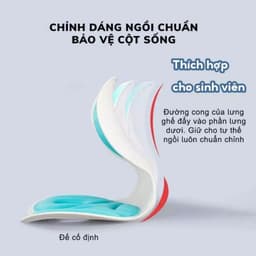 Ghế Ngồi Công Thái Học Đệm Ngồi Chống Đau Lưng Cho Người Lớn Trẻ Em Người Già Văn Phòng- HOMINA 3