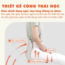 Ghế Ngồi Công Thái Học Đệm Ngồi Chống Đau Lưng Cho Người Lớn Trẻ Em Người Già Văn Phòng- HOMINA 7