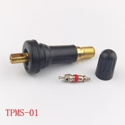 Van cảm biến áp suất lốp nhựa, Van áp suất lốp, cảm biến áp suất lốp TPMS 4