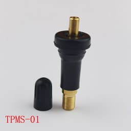 Van cảm biến áp suất lốp nhựa, Van áp suất lốp, cảm biến áp suất lốp TPMS 3