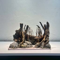Layout Rừng Ver.13 | Chế Tác Từ Gỗ Lũa Tự Nhiên, Nhiều Kích Thước Cho Bể Từ 20-40cm | RF Aquarium 2