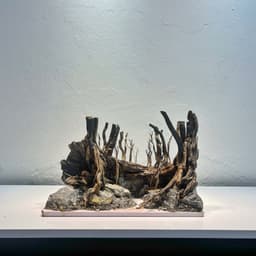 Layout Rừng Ver.13 | Chế Tác Từ Gỗ Lũa Tự Nhiên, Nhiều Kích Thước Cho Bể Từ 20-40cm | RF Aquarium 3