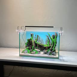Layout Rừng Ver.13 | Chế Tác Từ Gỗ Lũa Tự Nhiên, Nhiều Kích Thước Cho Bể Từ 20-40cm | RF Aquarium 5