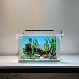 Layout Rừng Ver.13 | Chế Tác Từ Gỗ Lũa Tự Nhiên, Nhiều Kích Thước Cho Bể Từ 20-40cm | RF Aquarium 4