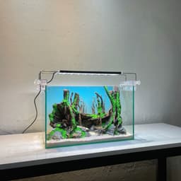 Layout Rừng Ver.13 | Chế Tác Từ Gỗ Lũa Tự Nhiên, Nhiều Kích Thước Cho Bể Từ 20-40cm | RF Aquarium 6