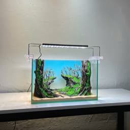 Layout Rừng Ver.11 | Nguyên Liệu Chế Tác Từ Gỗ Lũa Tự Nhiên, Nhiều Kích Thước | RF Aquarium 3