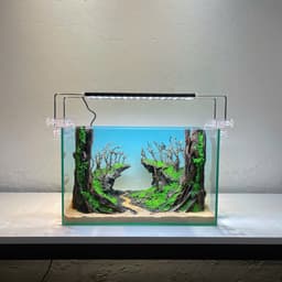 Layout Rừng Ver.11 | Nguyên Liệu Chế Tác Từ Gỗ Lũa Tự Nhiên, Nhiều Kích Thước | RF Aquarium 5