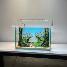 Layout Rừng Ver.11 | Nguyên Liệu Chế Tác Từ Gỗ Lũa Tự Nhiên, Nhiều Kích Thước | RF Aquarium 4