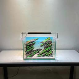 Layout Thuỷ Sinh Hẻm Núi Ver.1 | Nghệ Thuật Tái Tạo Lại Cảnh Quan Điểm Nhấn Cho Bể Thuỷ Sinh | RF Aquarium 4
