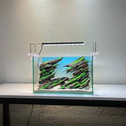 Layout Thuỷ Sinh Hẻm Núi Ver.1 | Nghệ Thuật Tái Tạo Lại Cảnh Quan Điểm Nhấn Cho Bể Thuỷ Sinh | RF Aquarium 2