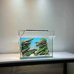Layout Thuỷ Sinh Hẻm Núi Ver.1 | Nghệ Thuật Tái Tạo Lại Cảnh Quan Điểm Nhấn Cho Bể Thuỷ Sinh | RF Aquarium 3