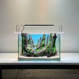 Layout Rừng Ver.14 | Layout Thuỷ Sinh Chế Tác Thủ Công | Nhiều Kích Thước Cho Bể Thuỷ Sinh | RF Aquarium 2