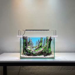 Layout Rừng Ver.14 | Layout Thuỷ Sinh Chế Tác Thủ Công | Nhiều Kích Thước Cho Bể Thuỷ Sinh | RF Aquarium 4