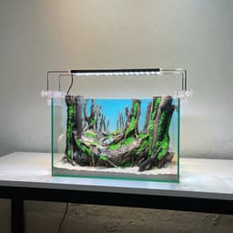 Layout Rừng Ver.14 | Layout Thuỷ Sinh Chế Tác Thủ Công | Nhiều Kích Thước Cho Bể Thuỷ Sinh | RF Aquarium 3